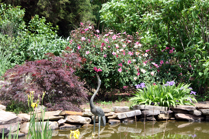 Fun Educational In Alabama Huntsville Botanical Garden