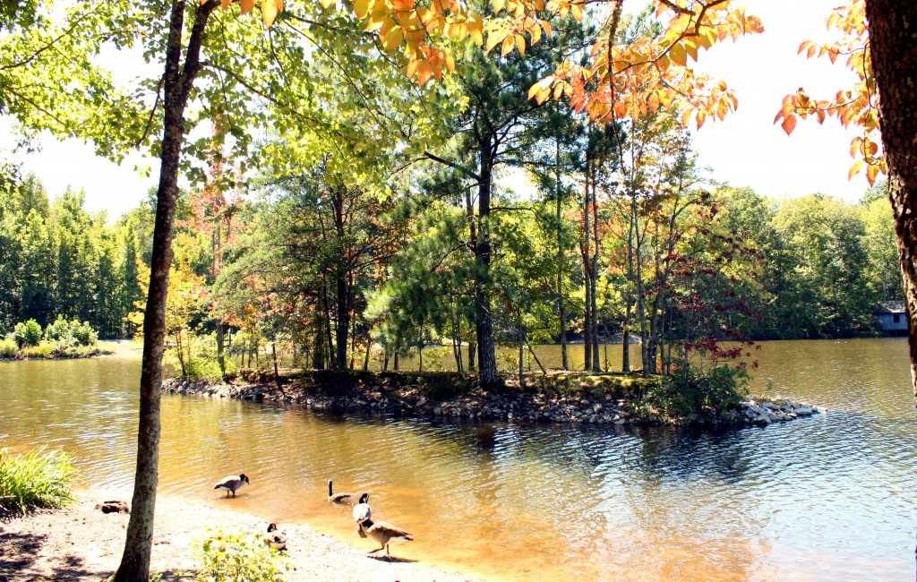 Green Mountain - View From Picnic Grounds