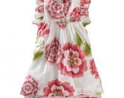 Tea Collection Dress