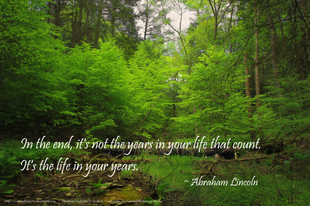 Lincoln Quote Forest by Nicholas_T on flickr