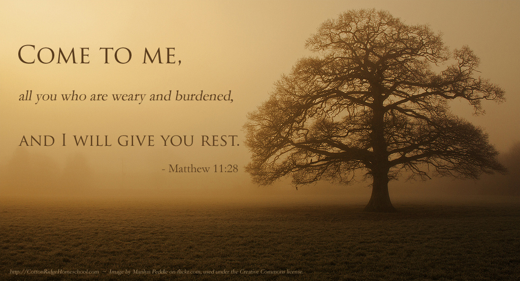 Matthew 11_28 Oak Tree by Marilyn Peddle on flickr copy