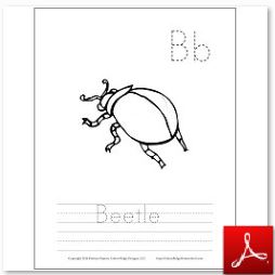 Beetle Coloring Tracing Page