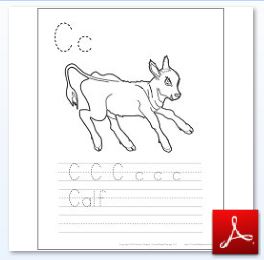 Calf Coloring Tracing Page