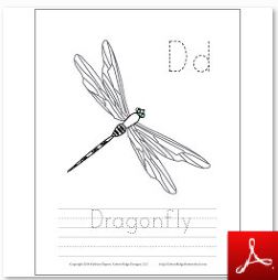 Dragonfly Coloring Tracing Page