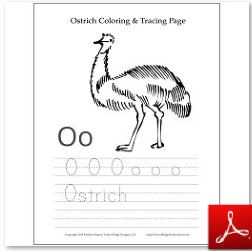Ostrich Coloring Tracing Page