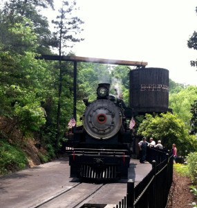 Dollywood Express