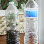 Water Bottle Terrarium 1