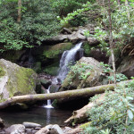 Trillium Gap Trail Waterfall 2