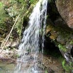 Trillium Gap Trail Waterfall 4