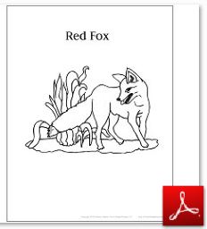 Red Fox Coloring Sheet jpg