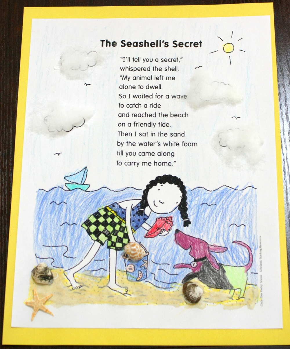 The Seashell's Secret