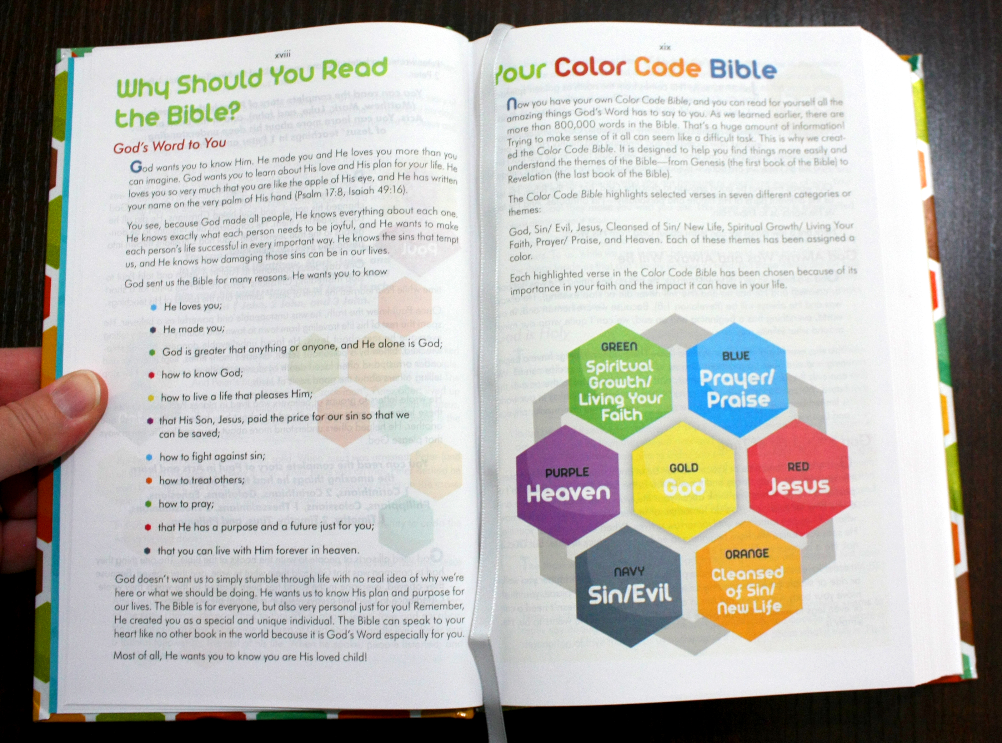 The Color Code Bible For Kids Book Review