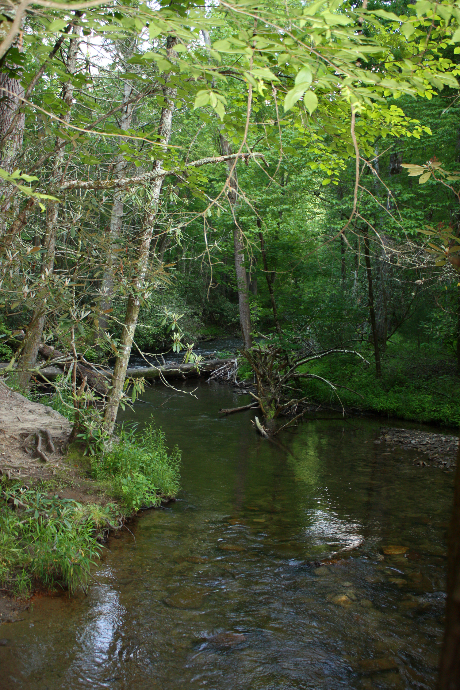 Cades Cove 1_resize