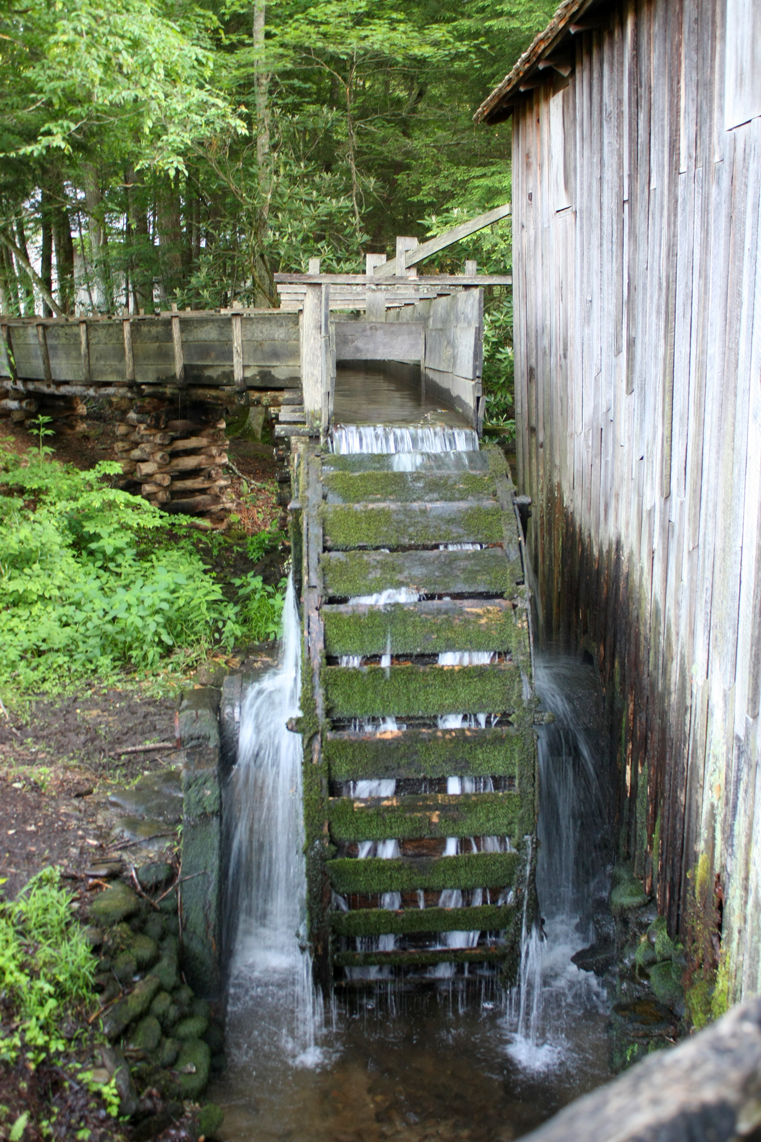 Cades Cove 2